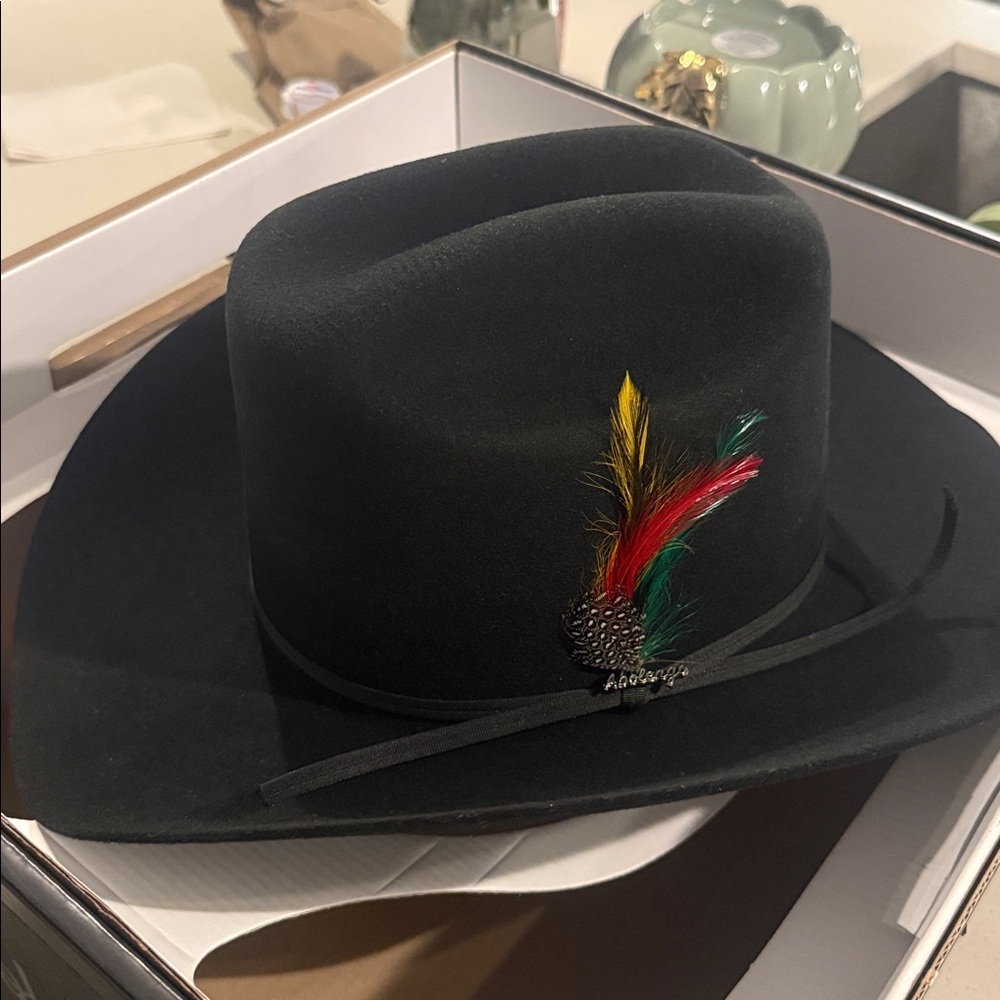 Black Cowboy Hat with Feather Accent